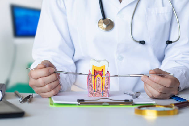  Central, LA Emergency Dentist Pros